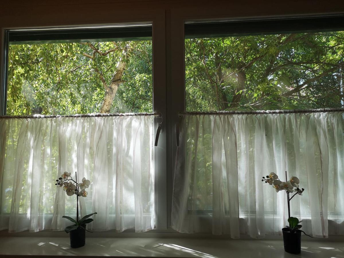 Centrum Luxus Apartman Mako Bagian luar foto